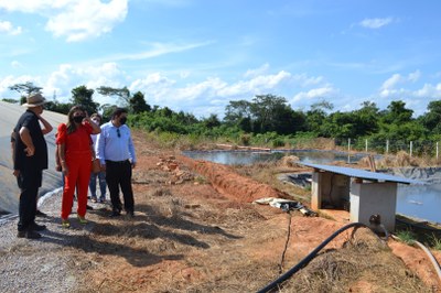 granja_bela_flor (3).JPG