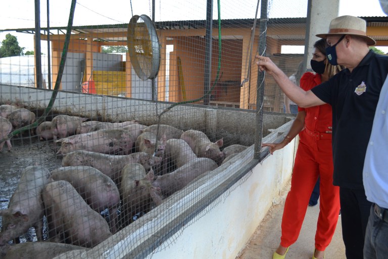 granja_bela_flor (5).JPG