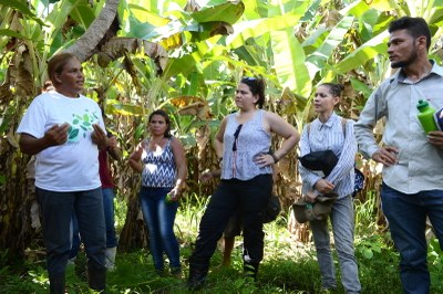 campo-agroecologia1.jfif