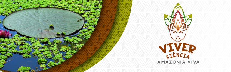 viver_ciencia_2018.png