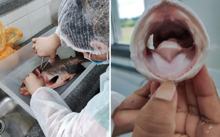 Design sem nome (1).png