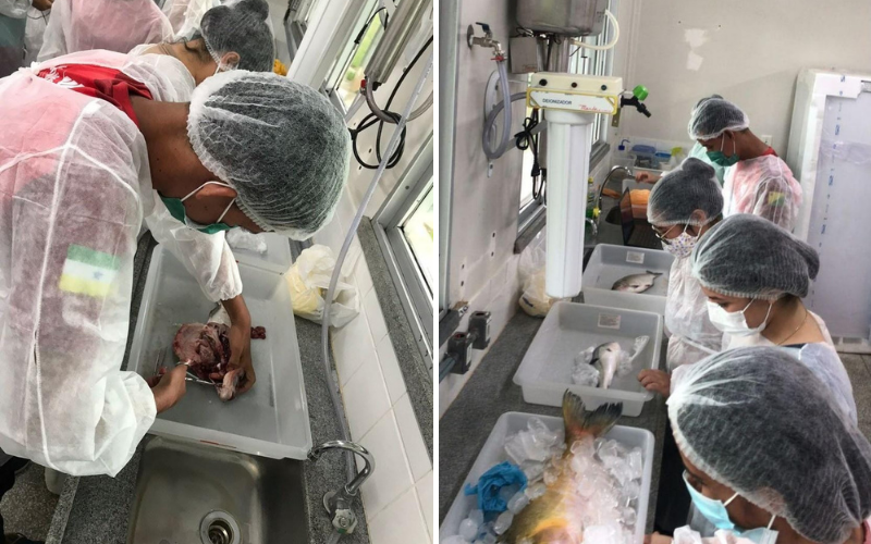 Design sem nome (2).png