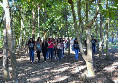 imagens_novo_portal (1).png