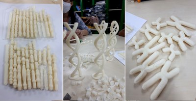 materiais-didaticos-biologia (10).jpeg