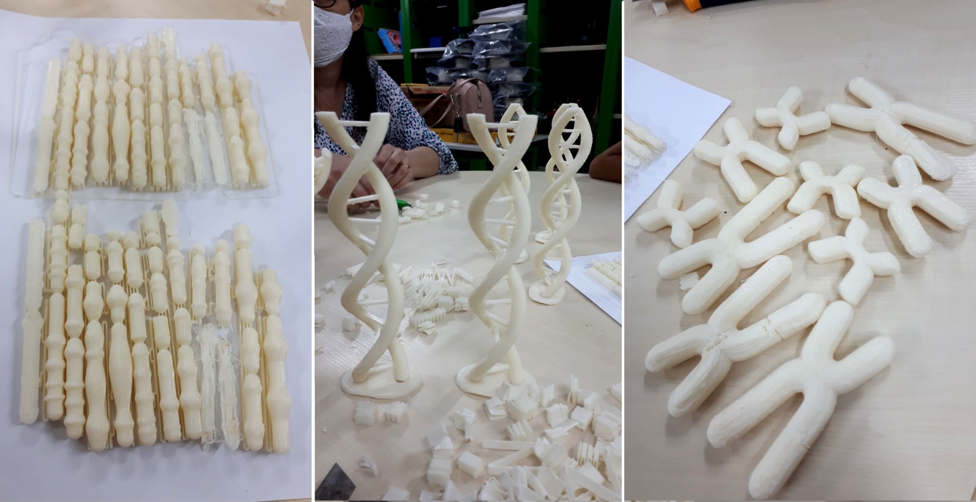 materiais-didaticos-biologia (10).jpeg