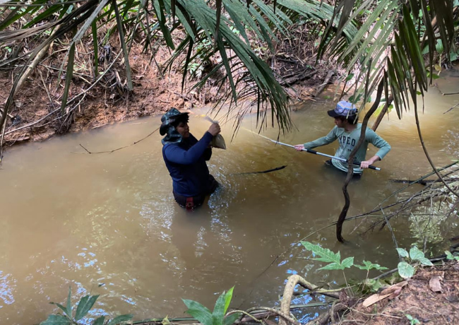 imagens_novo_portal (2).png