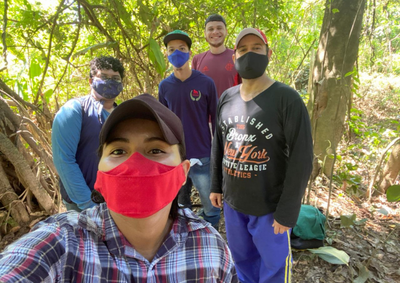 imagens_novo_portal (4).png