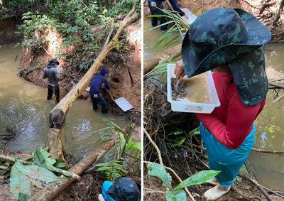 imagens_novo_portal (7).png