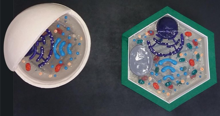 IMG-20220426-WA0011.jpg IMG-20220426-WA0011.jpg