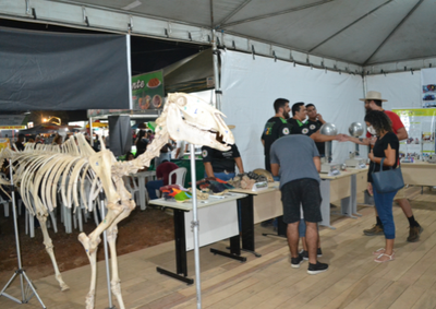 imagens_materias_capa (92).png