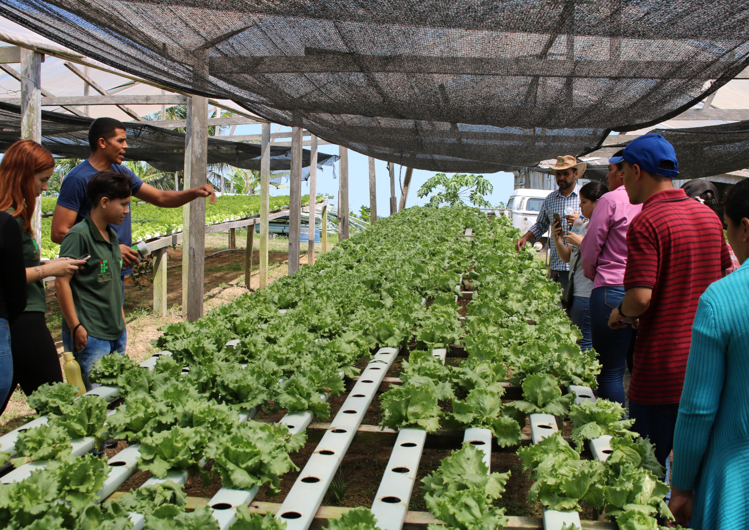 hidroponia_baixada (1).JPG