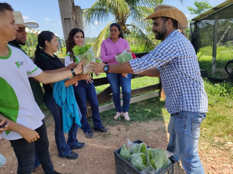 hidroponia_baixada (2).jpeg