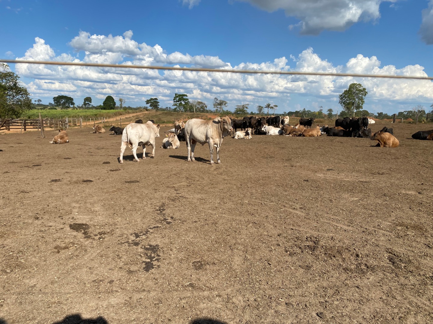 visita_fazenda_zootecnia_agroecologia_baixada (3).jpg