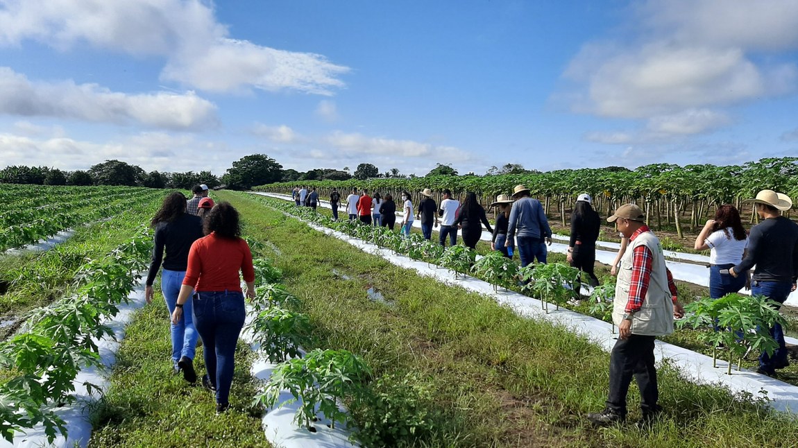 agroturismo_cruzeiro (3).jpg agroturismo_cruzeiro (3).jpg