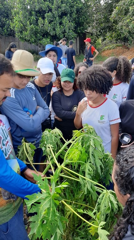 agroturismo_cruzeiro (7).jpeg