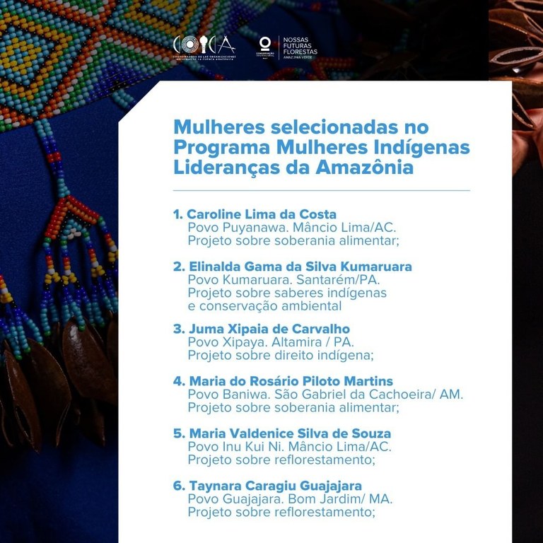 lideranca_indigena_cibrasil (2).jpg