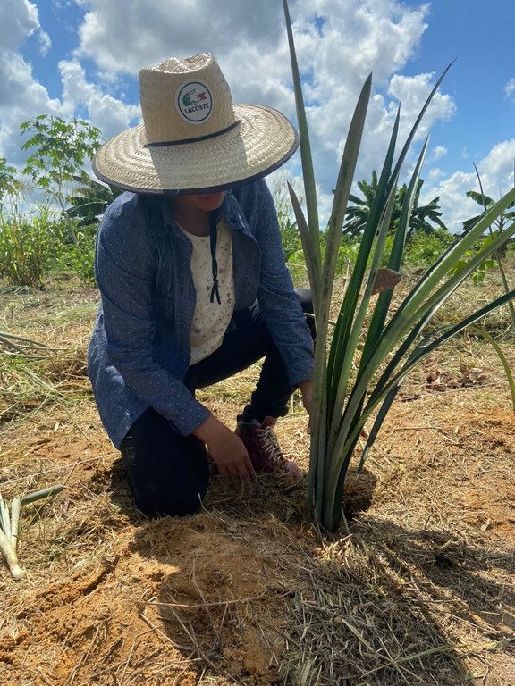 projeto agroecologia (2).jpeg