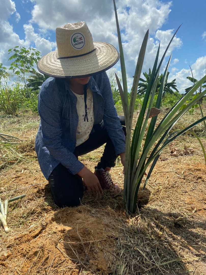 projeto agroecologia (2).jpeg