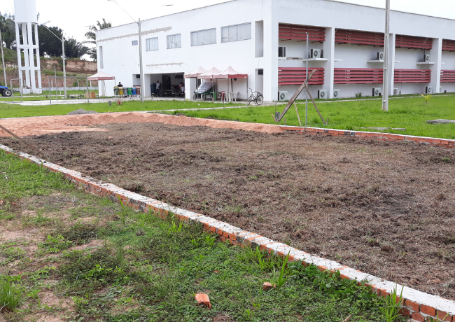 imagens_materias_capa (65).png