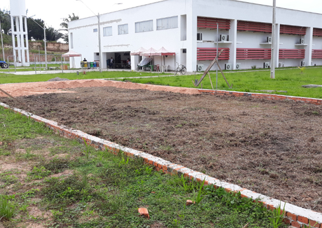 imagens_materias_capa (65).png