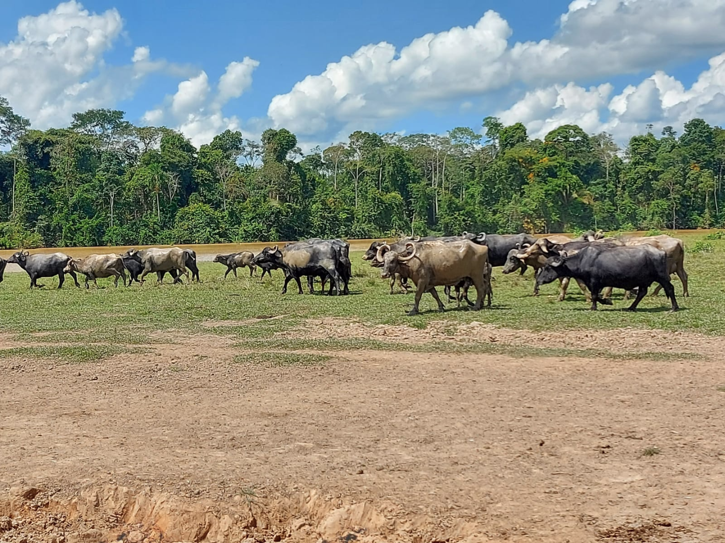 visita_tecnica_pesqueiros (1).png