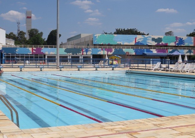 imagens_materias_capa (31).png