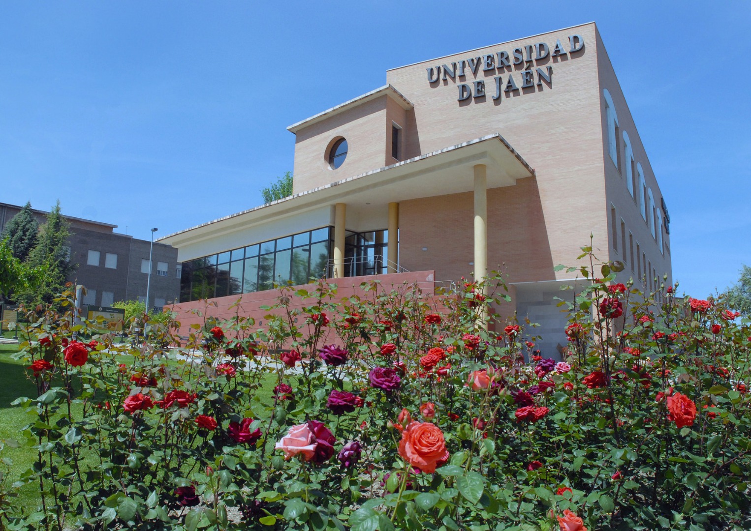 universidad-jaen.jpg