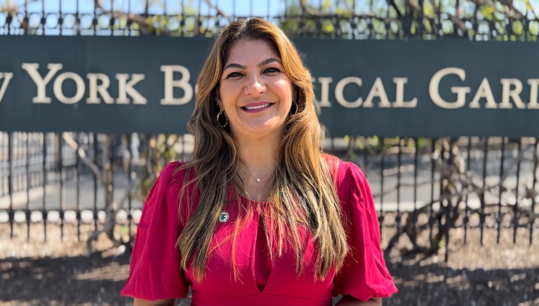 àrceria New York Botanical Garden (2).jpg