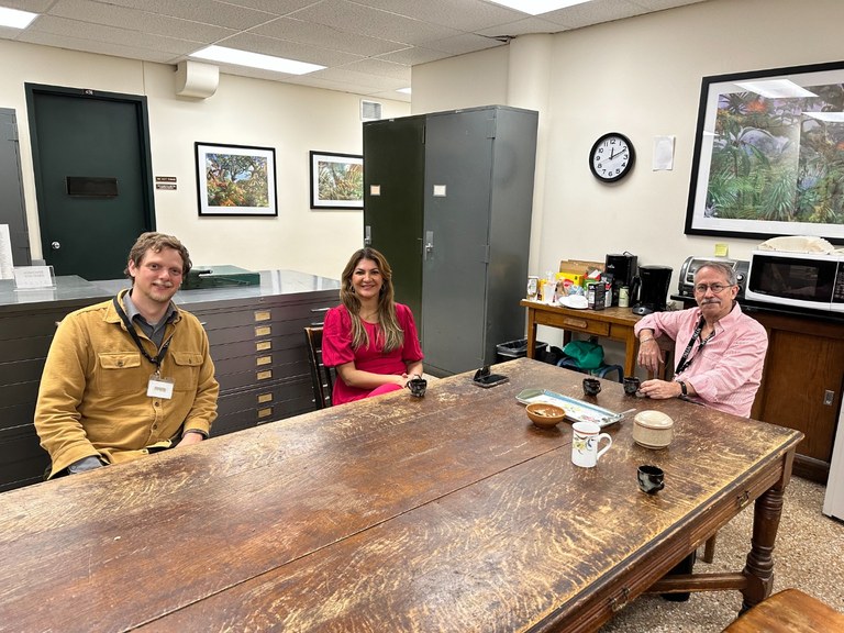 àrceria New York Botanical Garden (3).jpg