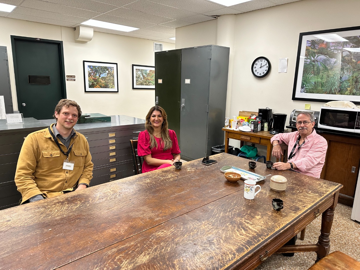 àrceria New York Botanical Garden (3).jpg