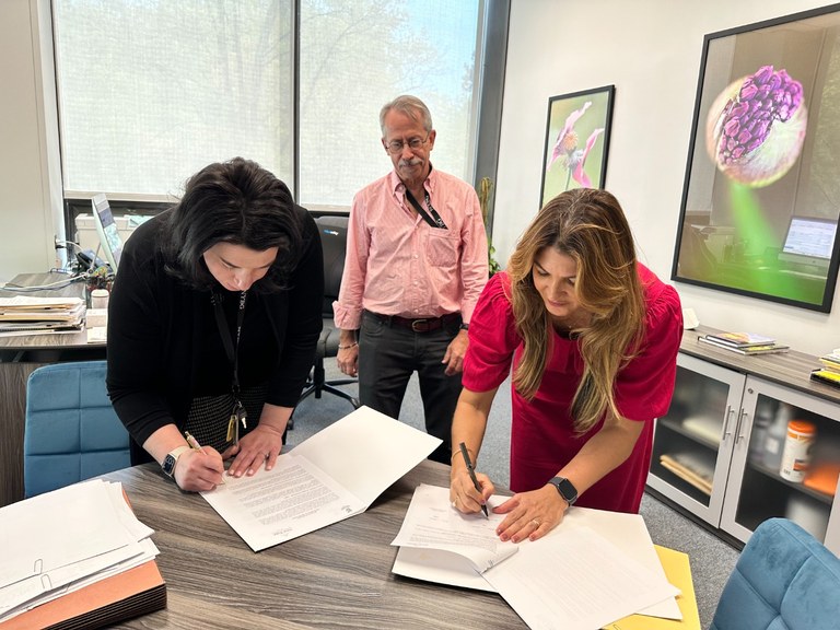 àrceria New York Botanical Garden (4).jpg