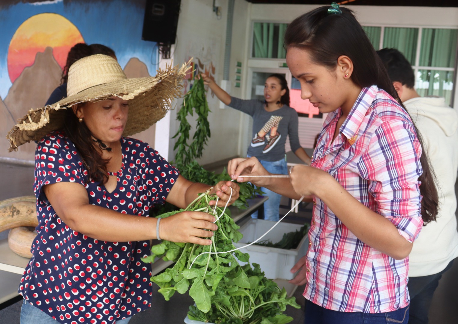feirinha cruzeiro (10).JPG