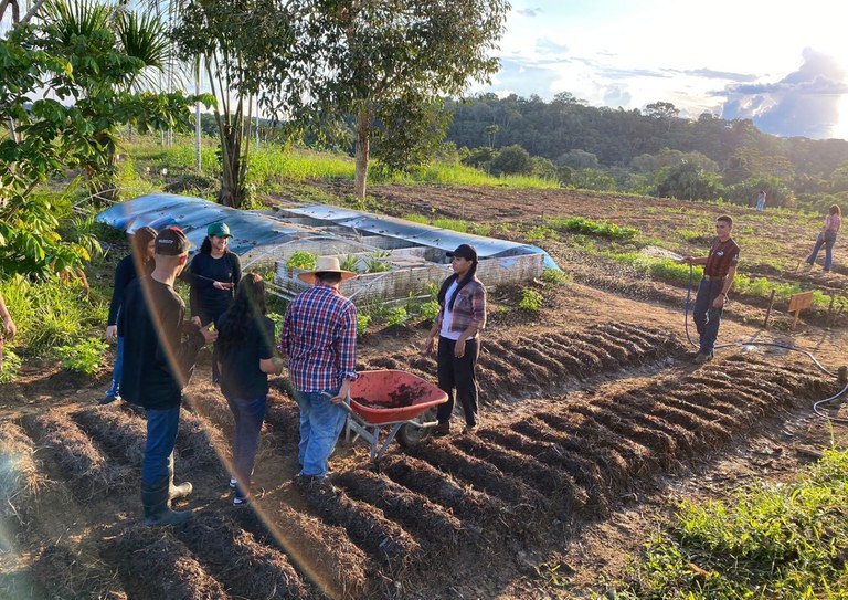 sipa cruzeiro (4).jpg