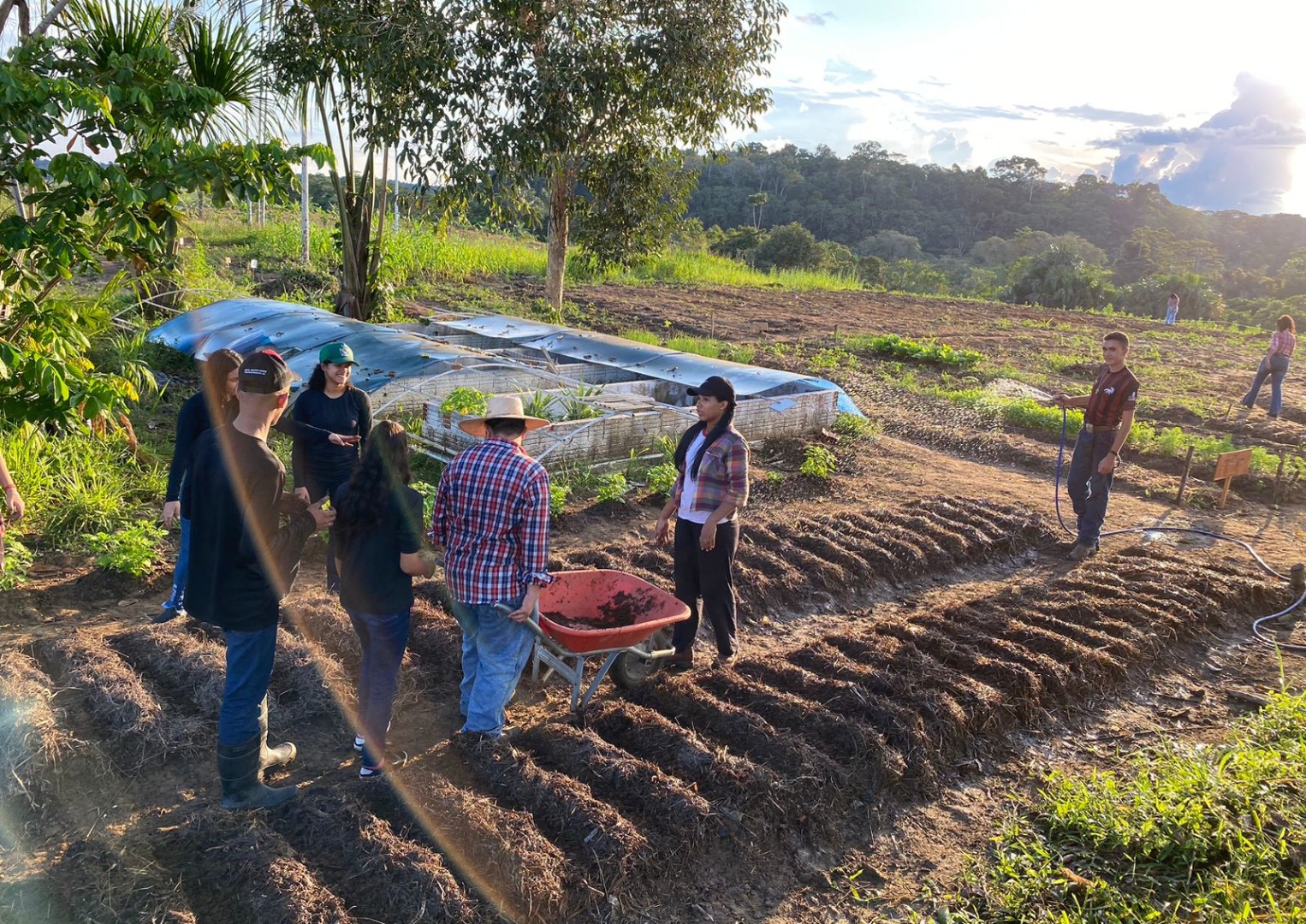 sipa cruzeiro (4).jpg