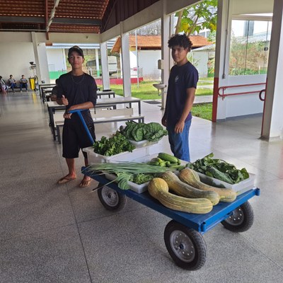 feirinha cruzeiro (1).jpeg