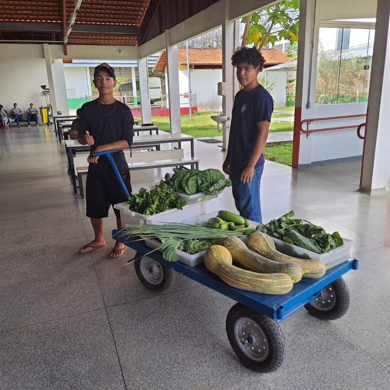 feirinha cruzeiro (1).jpeg