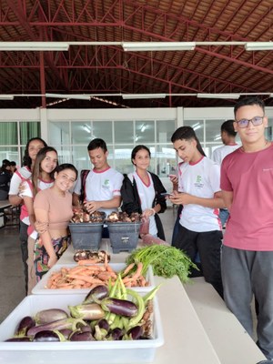 feirinha cruzeiro (5).jpeg