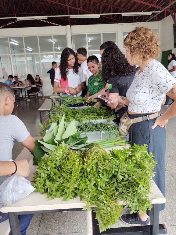 feirinha cruzeiro (6).jpeg