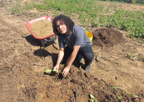 sipa cruzeiro (11).jpg