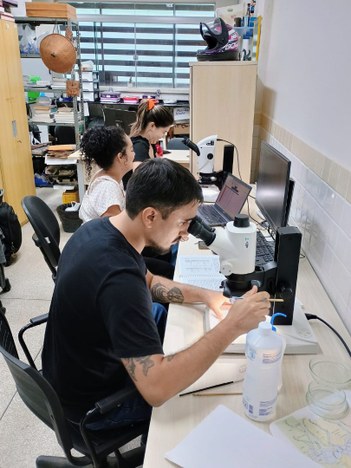 Foto 1. Dr. Gustavo Urbieta e alunas de iniciação científica identificando moscas ectoparasitas de morcegos em laboratório..jpeg