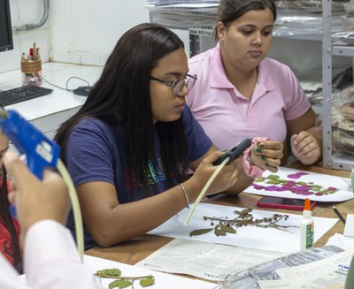 Curso_pós-doc (4).jpg