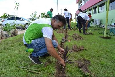 Mestre Agrecologia_capa (3).jpeg