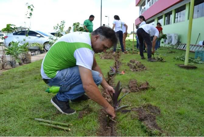 Mestre Agrecologia_capa (3).jpeg