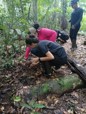 biologia reserva florestal humaita (2).jpg