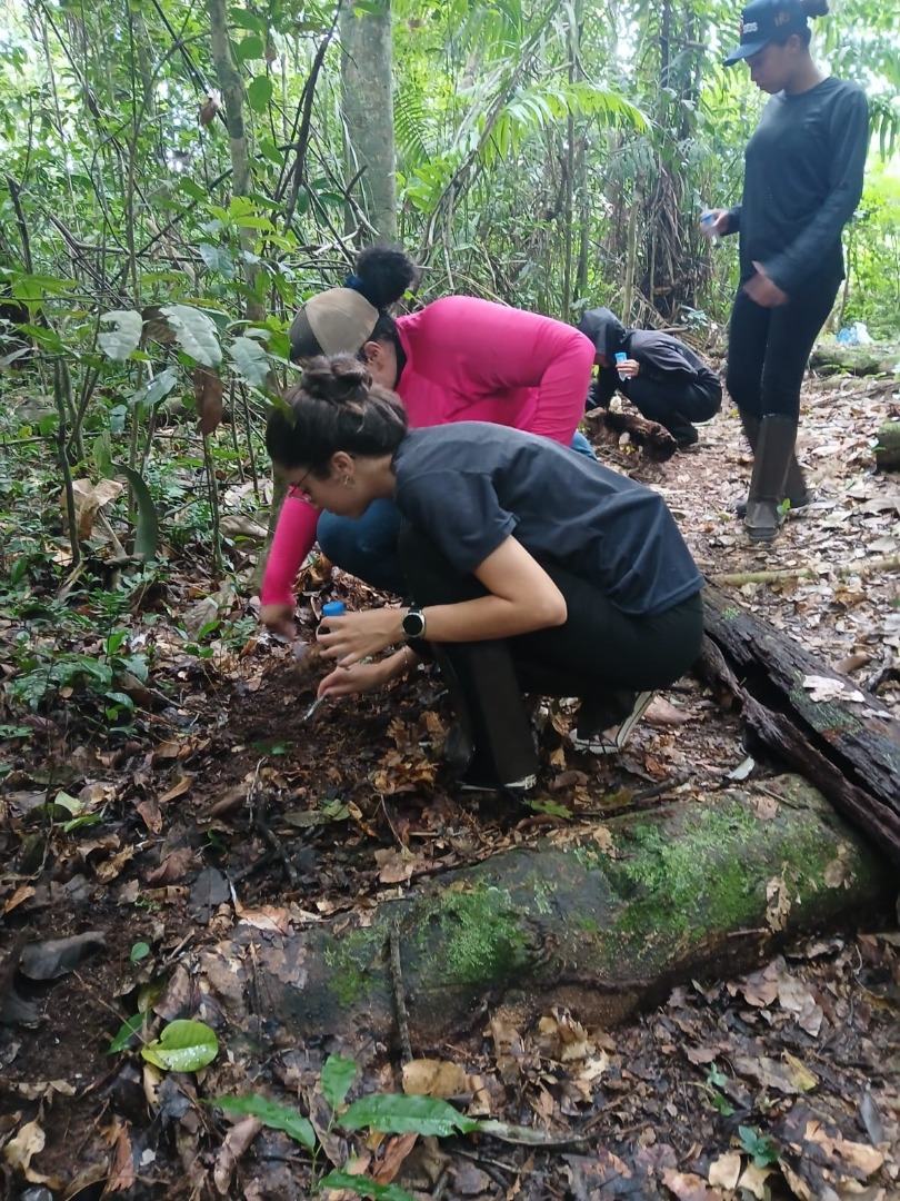 biologia reserva florestal humaita (2).jpg