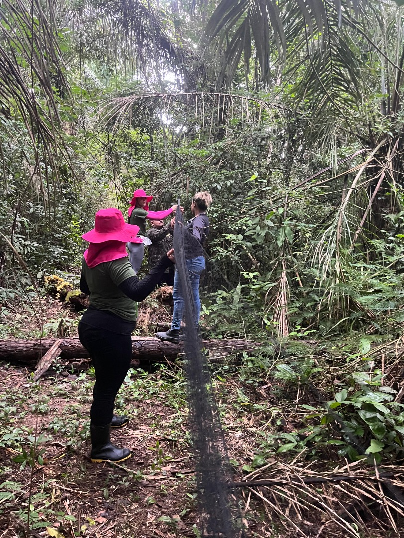 biologia reserva florestal humaita (4).jpeg