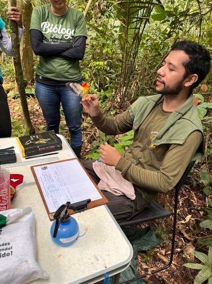 biologia reserva florestal humaita (5).jpeg biologia reserva florestal humaita (5).jpeg