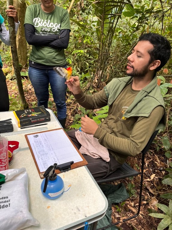 biologia reserva florestal humaita (5).jpeg