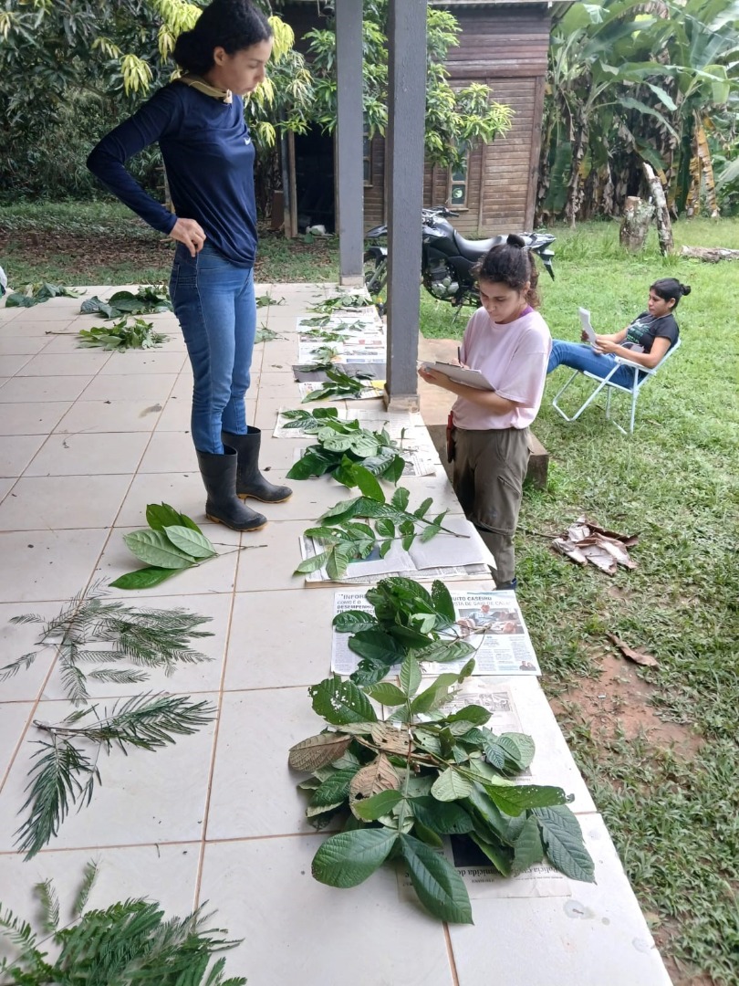 biologia reserva florestal humaita (6).jpg