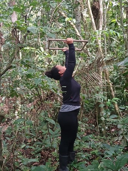 biologia reserva florestal humaita (7).jpg biologia reserva florestal humaita (7).jpg